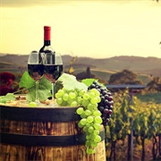 Go on a Wine Tasting Tour in a Scenic Vineyard Region