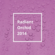 Pantone Color of the Year 2014: Radiant Orchid