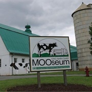 King Barn Dairy Mooseum