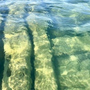 The Wreck of the Dorcas Pendell