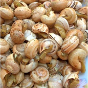 Cuzzeddhre Con Origano