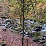 Mittereggbach, Deutschlandsberg, Austria