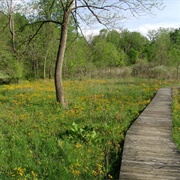 Kiser Lake Wetlands State Nature Preserve