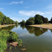Lake in Verulamium Park, St Albans
