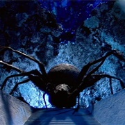 Planet of the Spiders
