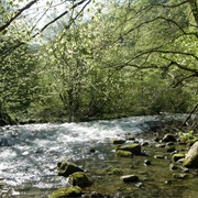 Rilska River (Manastirska River), Bulgaria