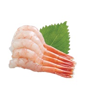 Amaebi Sashimi