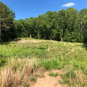 Matianuck Natural Area Preserve