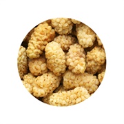 Dried White Mulberries