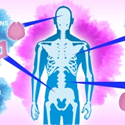 Alcohol Warms the Body