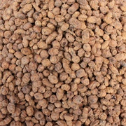 Tiger Nut (Cyperus Esculentus)