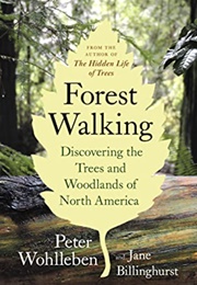 Forest Walking (Will He En and Billinghurst)