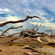 Boneyard Beach