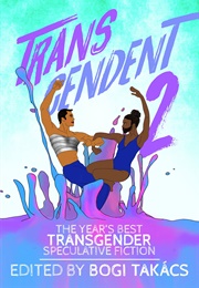 Transcendent 2 (Bogi Takács)