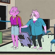 The Amelia Earhart Story