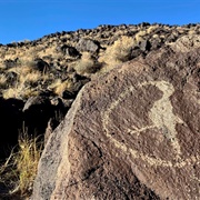 Petroglyph, NM (NPS)