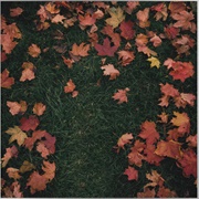 October Passed Me by - Girl in Red