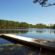Jack Hill State Park