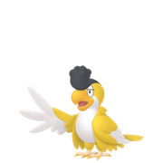 Squawkabilly (Yellow Plumage)