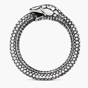 Ouroboros