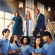 Grey's Anatomy Season 19