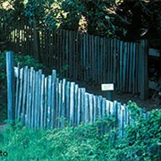 1906 Earthquake Fence