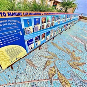 The Map of the Grand Canyons of La Jolla Shores