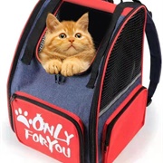 Another Cat Bag