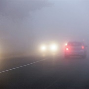 Driven in Fog