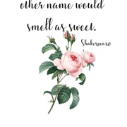 That Which We Call a Rose by Any Other Name Would Smell as Sweet