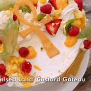 Multi-Layer Custard Gateau