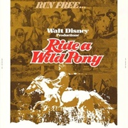 Ride a Wild Pony