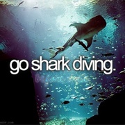 Go Shark Diving