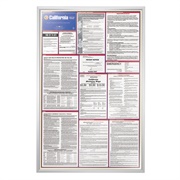 Employee Rights/Employment Law Poster