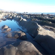 Carpinteria Tar Pits