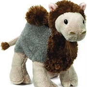 Camel