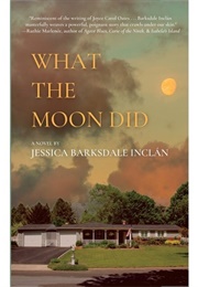 What the Moon Did (Jessica Barksdale Inclan)