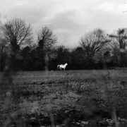 When You Run Away, Do You Close Your Eyes - Flatsound