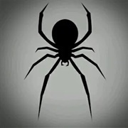 Shadow Spiders