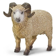 Toy Ram
