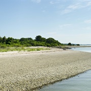 Grape Island Straw Alarm