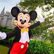 The People Inside Disneyland or Disneyworld Costumes Were the Actual Characters