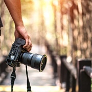Complete a Course to Become Photographer