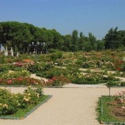 Parque Del Oeste, Madrid