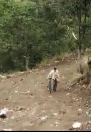 There's More Than One Way to Skin a Sheep (Calzadilla) (2007)