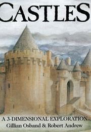 Castles: A 3-Dimensional Exploration (Gillian Osband, Robert Andrew)