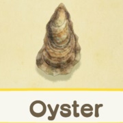 Oyster