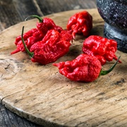 Carolina Reaper in South Carolina, USA