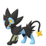 Luxray (Male)
