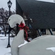 Talula the Elk Rapids Swan